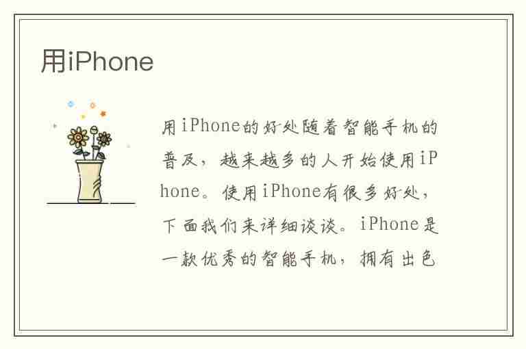 用iPhone(用iphone的都是什么人)